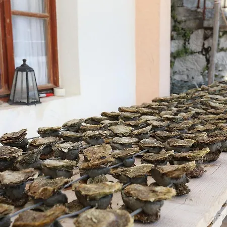 דירה By The Sea Brijesta, Peljesac - 10223 *