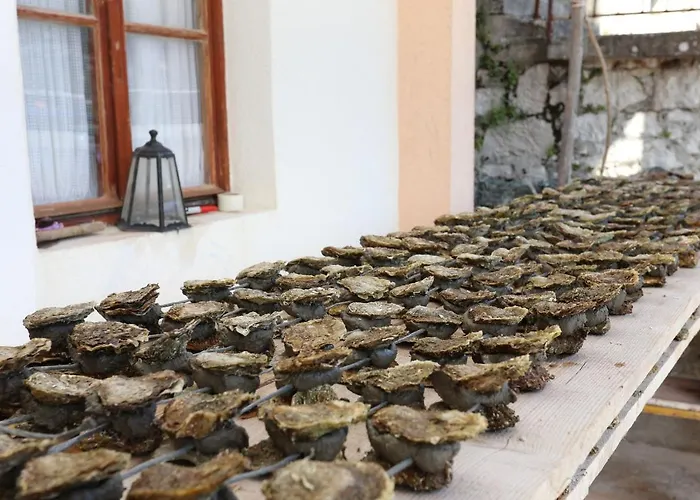 Apartman By The Sea Brijesta, Peljesac - 10223 *